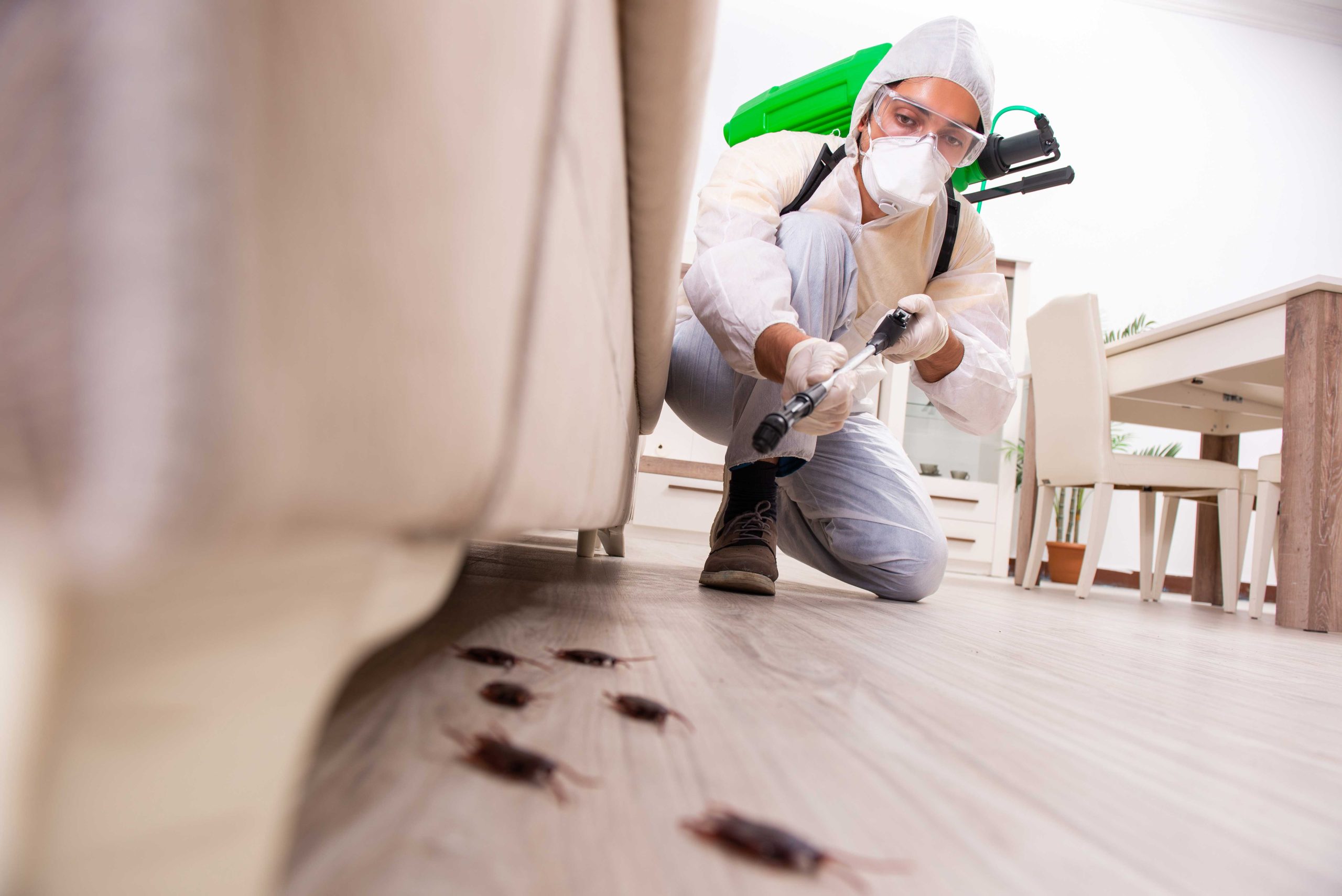 Pest Control Services in Carmel